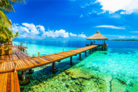 Il miglior lavoro al mondo: vendere libri in un lussuoso resort alle Maldive